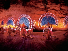 Private transportation and PLUS entrance to Xcaret park