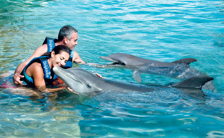 Couples Dreams - Dolphin Swim Riviera Maya 