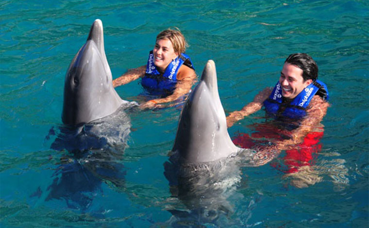 Couples Dreams - Dolphin Swim Cancun Aquarium 