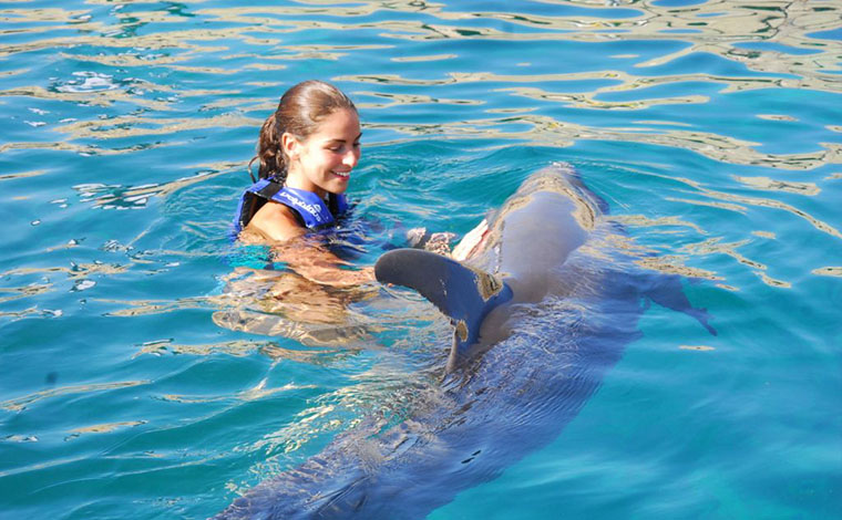 The One - Dolphin Swim Interactive Aquarium 