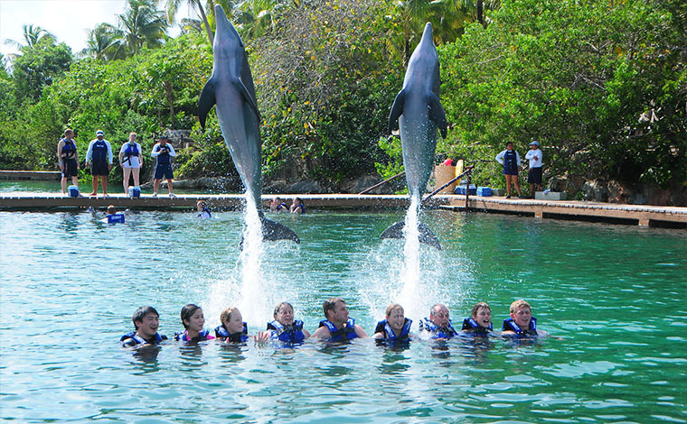 Primax - Dolphin Swim at Xcaret 