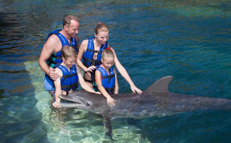 Primax - Dolphin Swim at Xcaret 