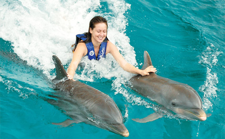 Dolphin Ride - Xel-Ha