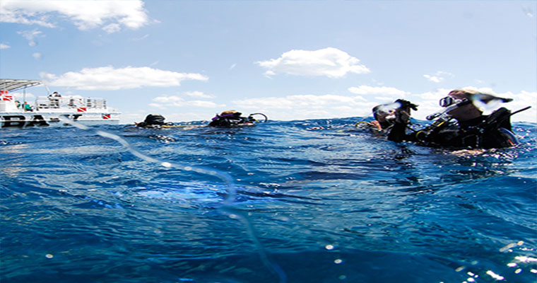 Snorkel in Caverns with Scuba Cancun 