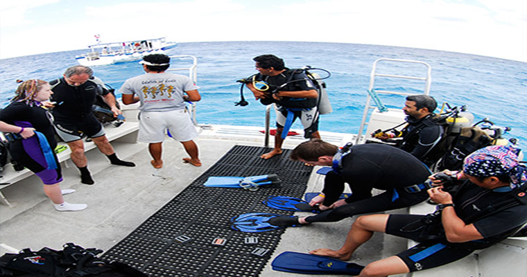 Scuba PADI Open Water Referral 