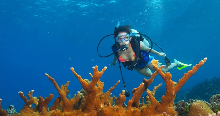 Scuba 1 Tank Cancun 