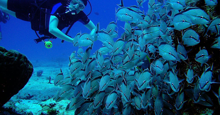 Scuba 2 Tank Cancun 