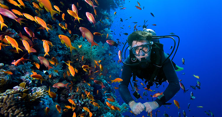 Scuba Dive Package B 