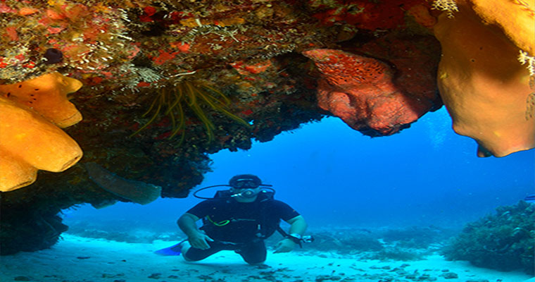 Scuba Dive Package C 