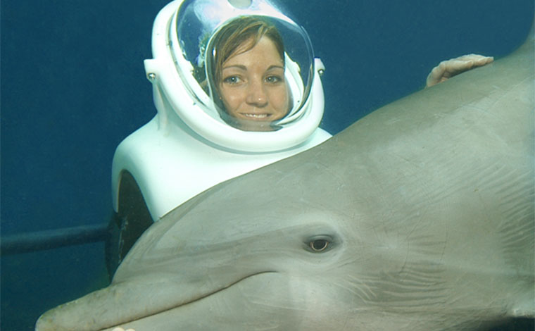 Delphinus Trek - Xel-Ha 