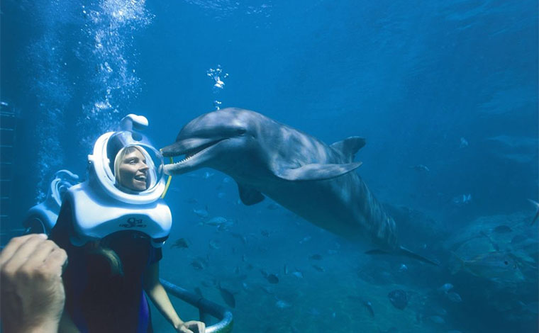 Delphinus Trek - Xel-Ha 