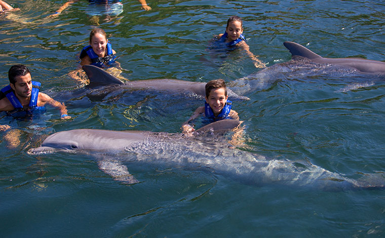 Delphinus Splash - Puerto Morelos 