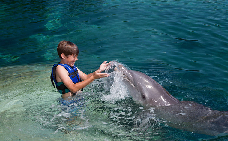 Delphinus Splash - Punta Cancun 