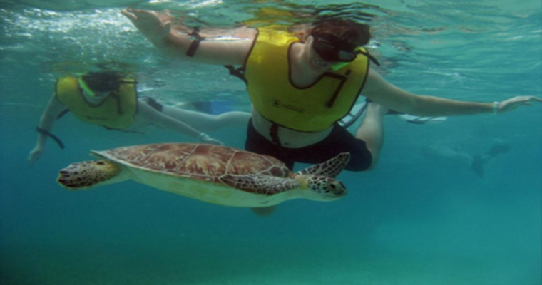 Private Tulum & Akumal Snorkel with Sea Turtles 