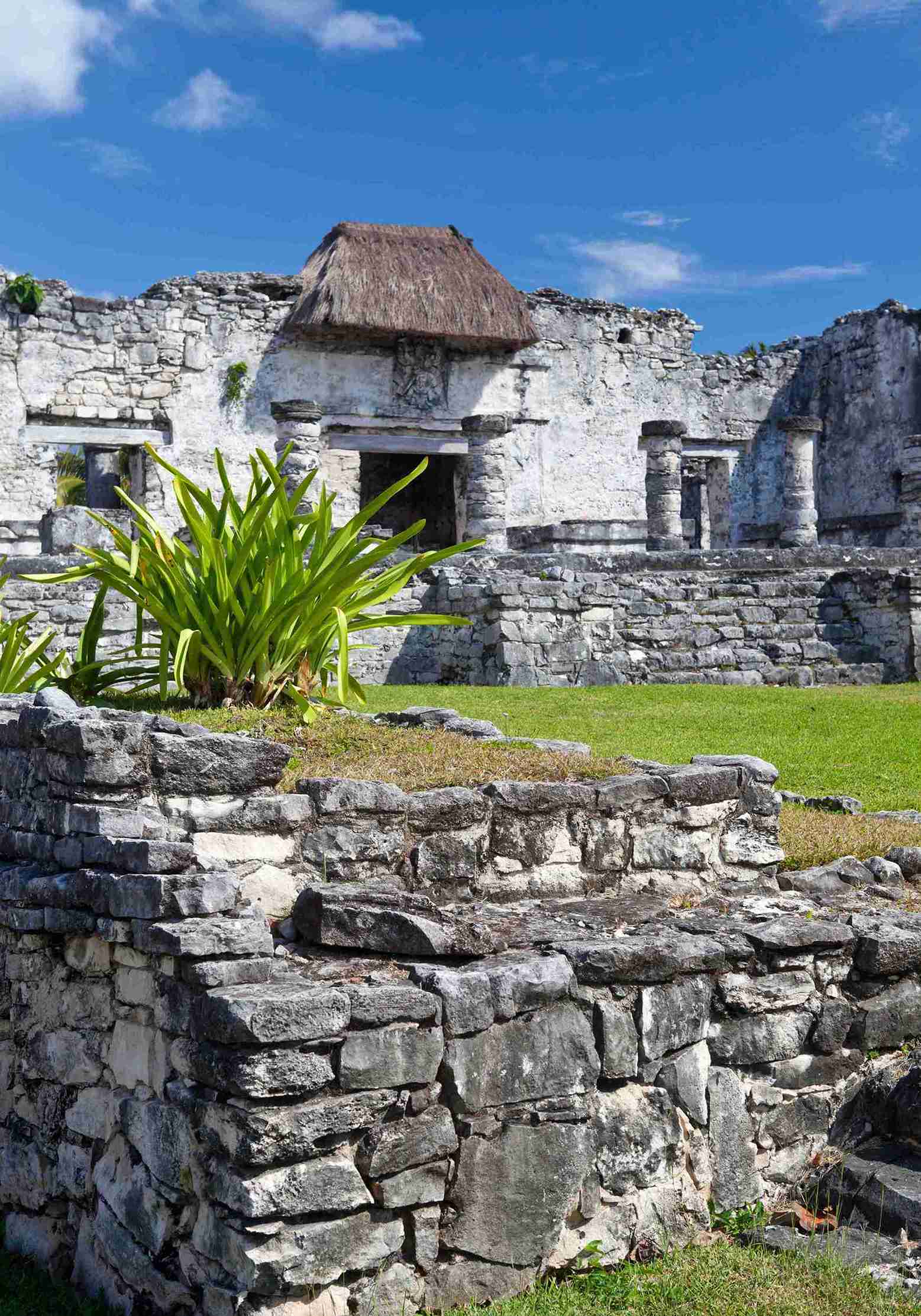 Tulum & Cenote Public 