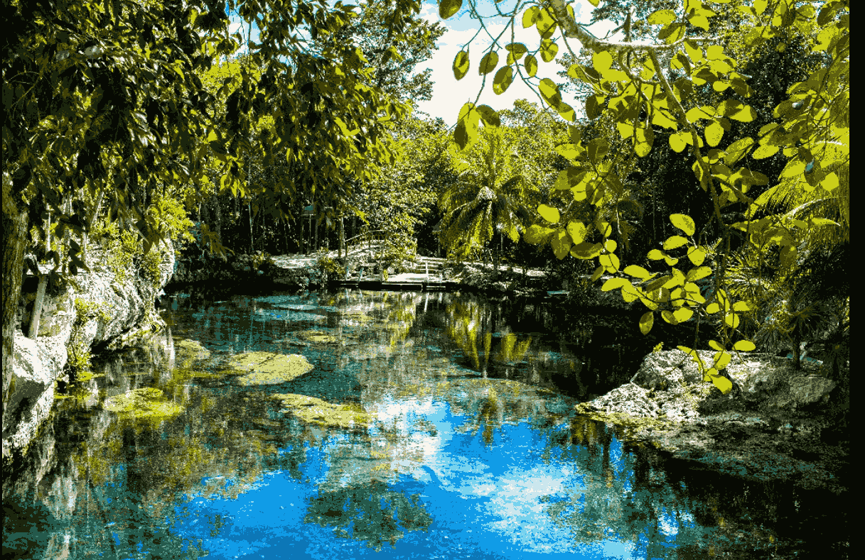 Tulum & Cenote Public 