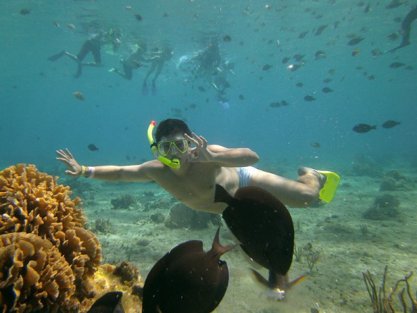 Paradise Snorkel