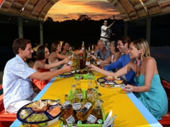 Mexican Dinner Cruise in Xoximilco - Public